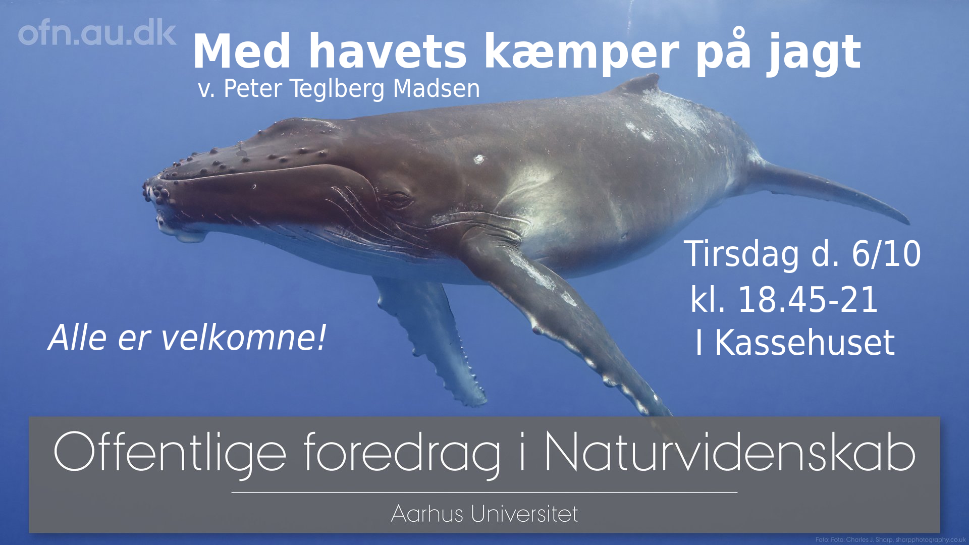 1.Hvaler_16-9