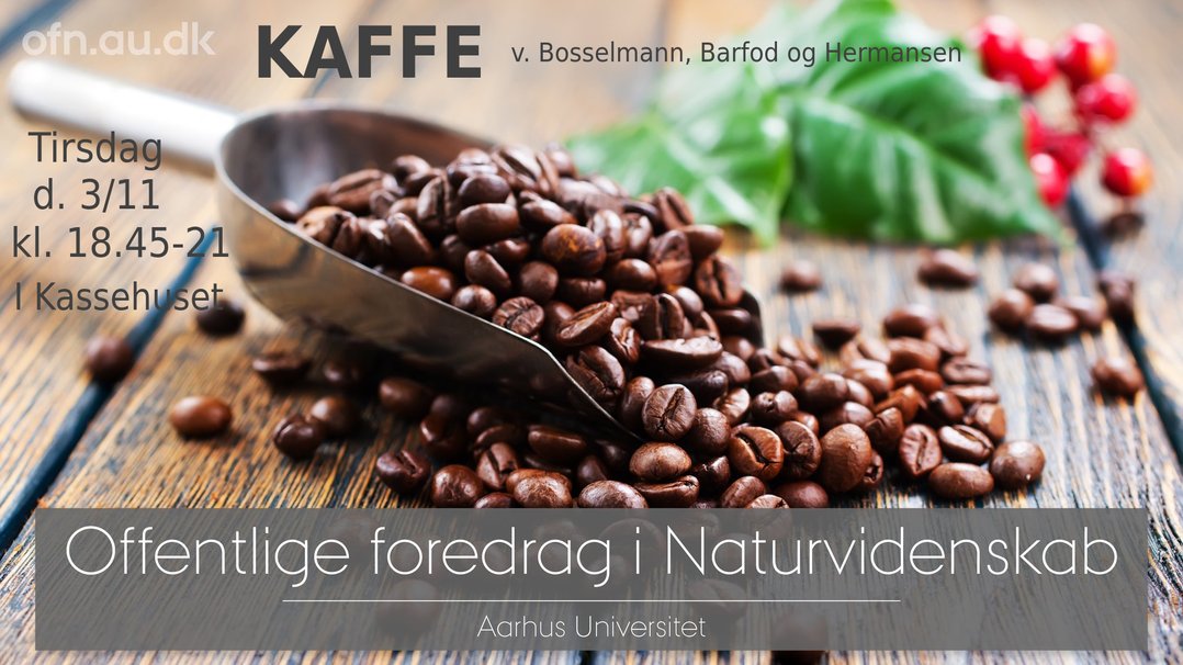3.Kaffe_16-9 (kopi)